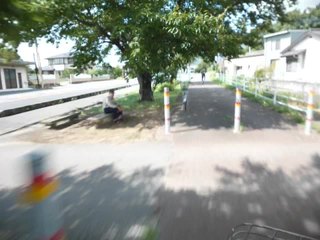 P1010219-xs3.MP4#000015