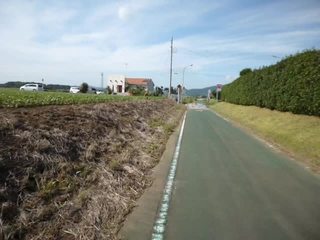P1010223-xs3.MP4#001415