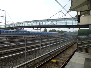 P1020432-xs3.JPG