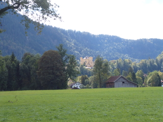 P1020816-xs3.JPG