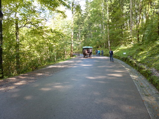 P1020839-xs3.JPG