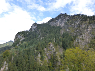 P1020889-xs3.JPG