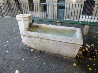 P1030279-xs3.JPG