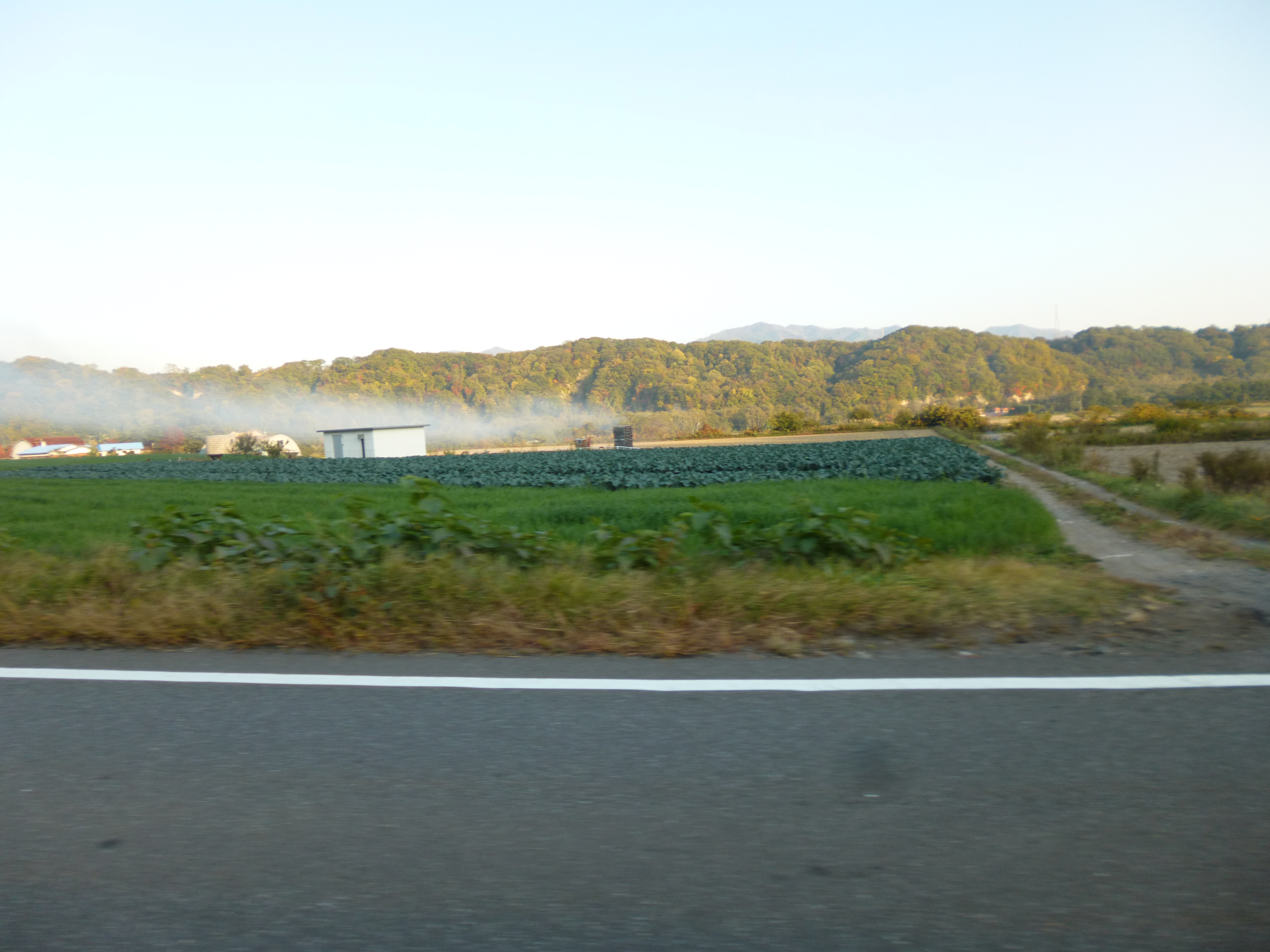 P1040610-xs3
