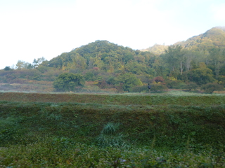 P1040505-xs3.JPG