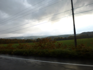P1040678-xs3.JPG