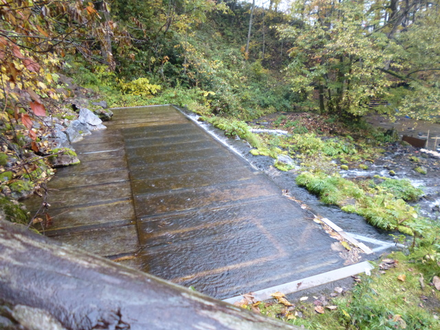 P1040687-xs3
