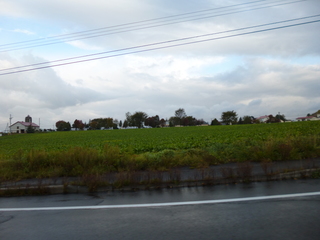 P1040692-xs3.JPG