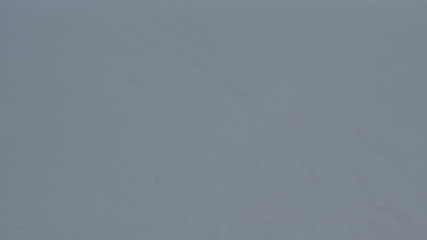 P1010268-tg630.MOV#000545