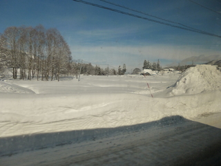P1070701-xs3.JPG