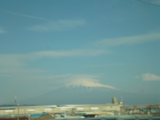 P1080067-xs3.JPG