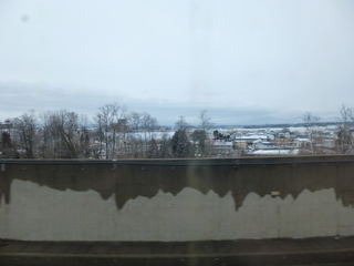 P1080429-xs3.JPG
