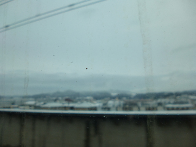 P1080436-xs3