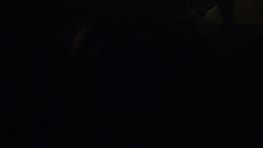 P3280042-tg630#000745