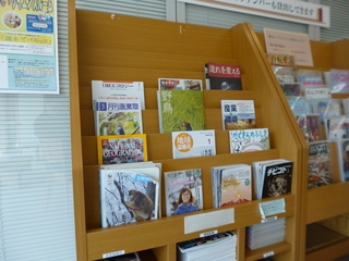 P1090236-xs3.JPG