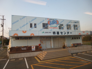 P1090249-xs3.JPG