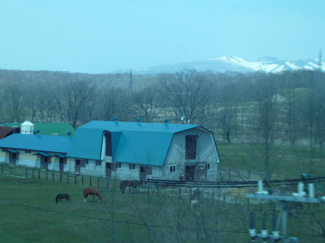 P1090929-xs3