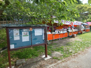 P1100117-xs3.JPG