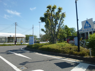 P1100436-xs3.JPG