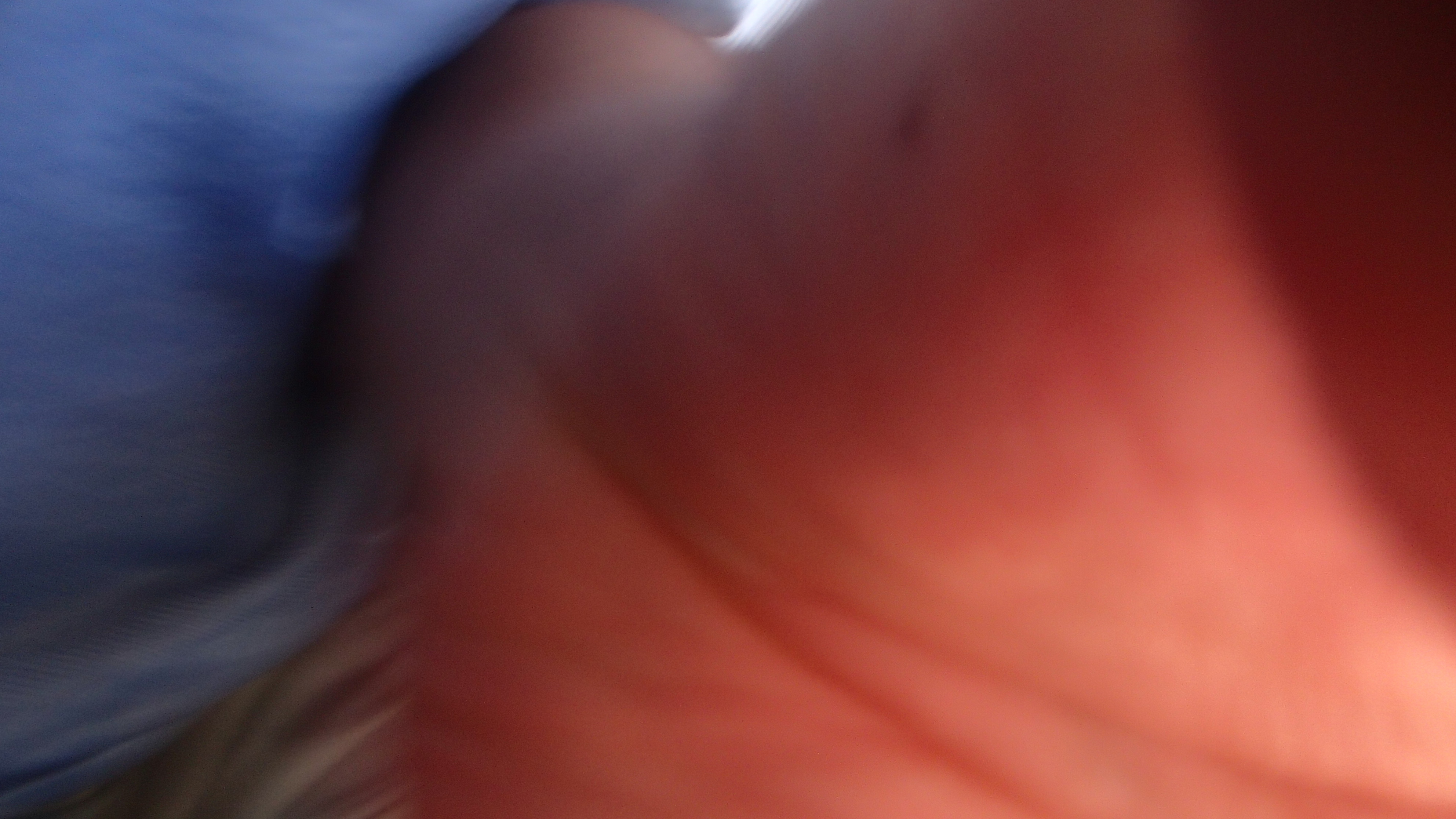 P9080827-tg630