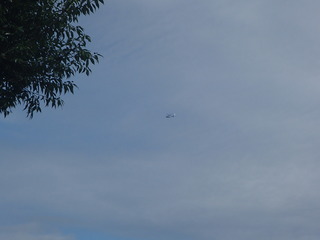 P9110932-tg630.JPG